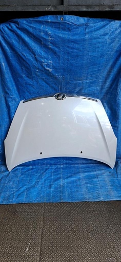 [XHDCK2] CAPOT TOYOTA WISH 2003-2009 WAGON ANE10G ZNE14G